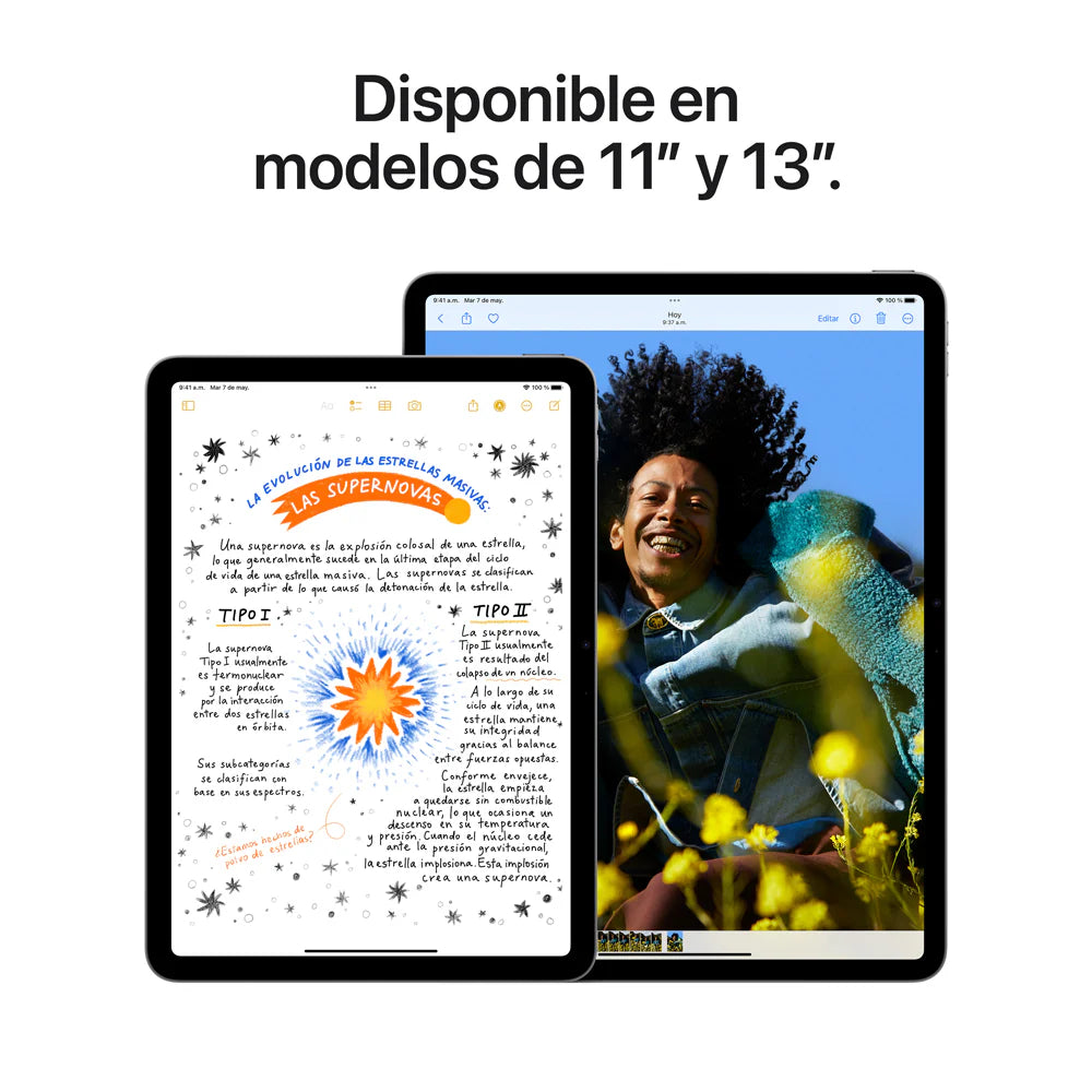 iPad Air de 11 pulgadas M2 256 GB